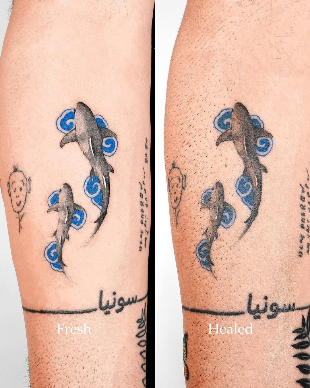 nobodytattoo