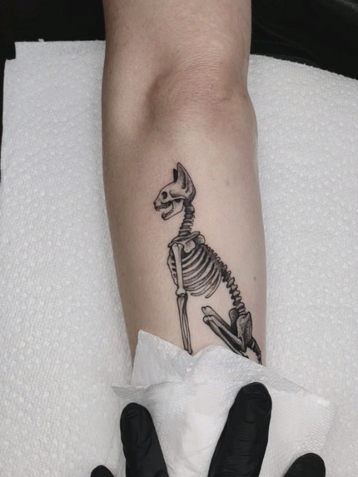 memoespino_art