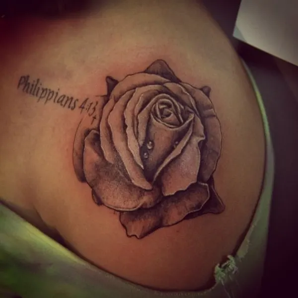 Flower, Rose, Nature