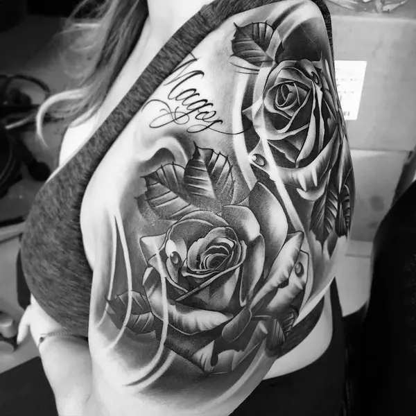Flower, Rose, Nature
