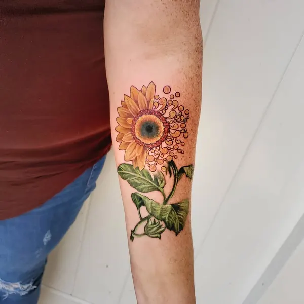 Flower, 탄생화, 히비스커스, 난초