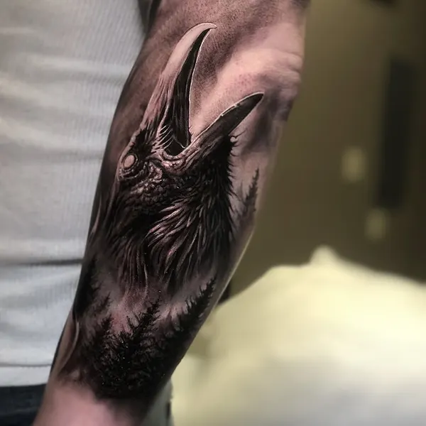 Animal