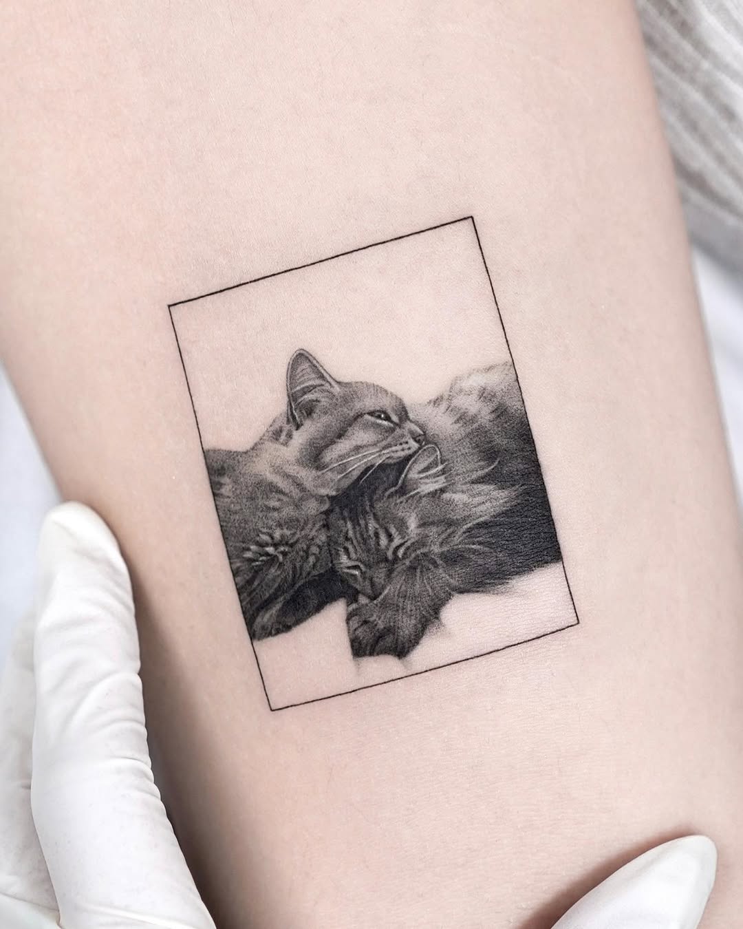 dorok.tattoo
