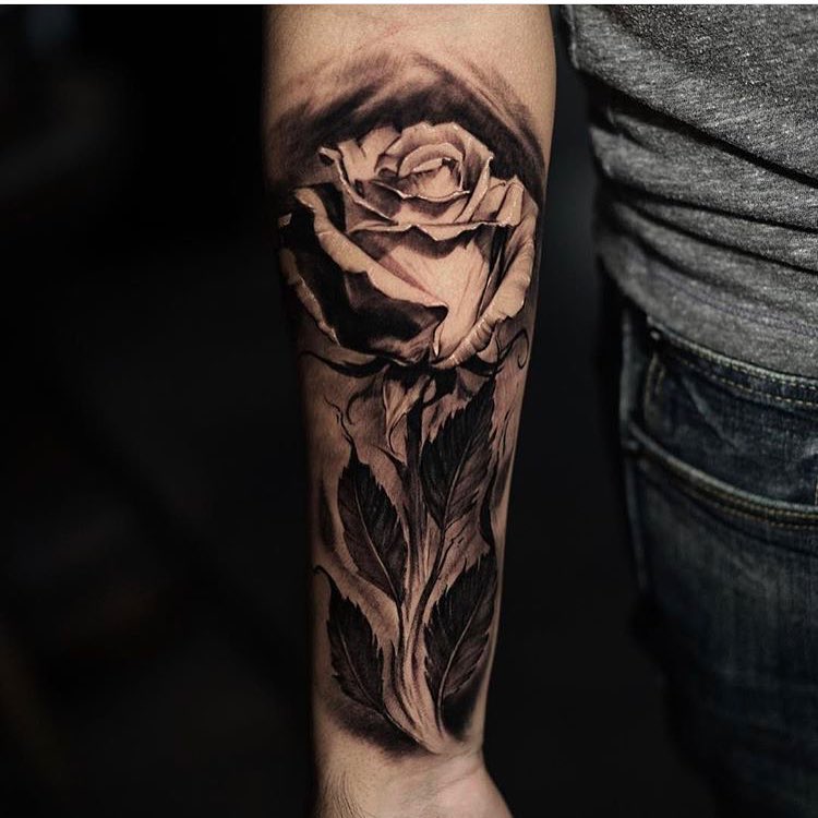 Flower, Rose
