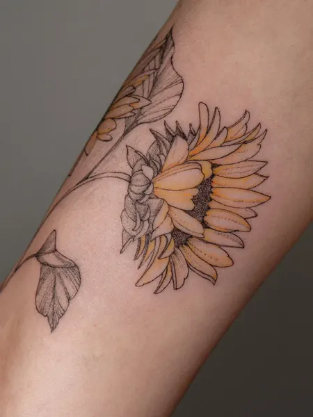 Flower, 해바라기