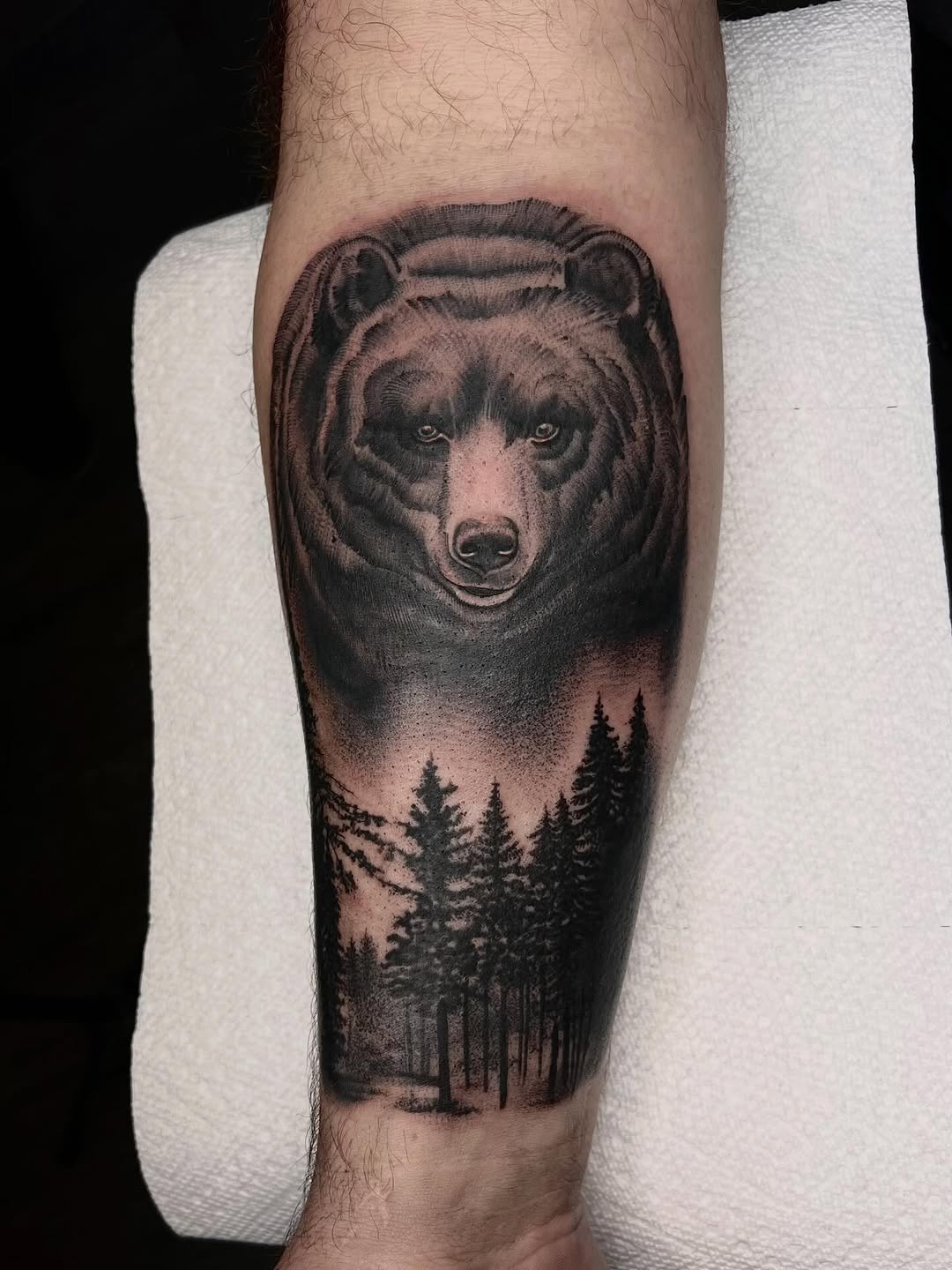 Animal