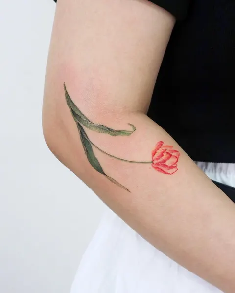 Flower, 아이리스, 백합, 난초, 튤립