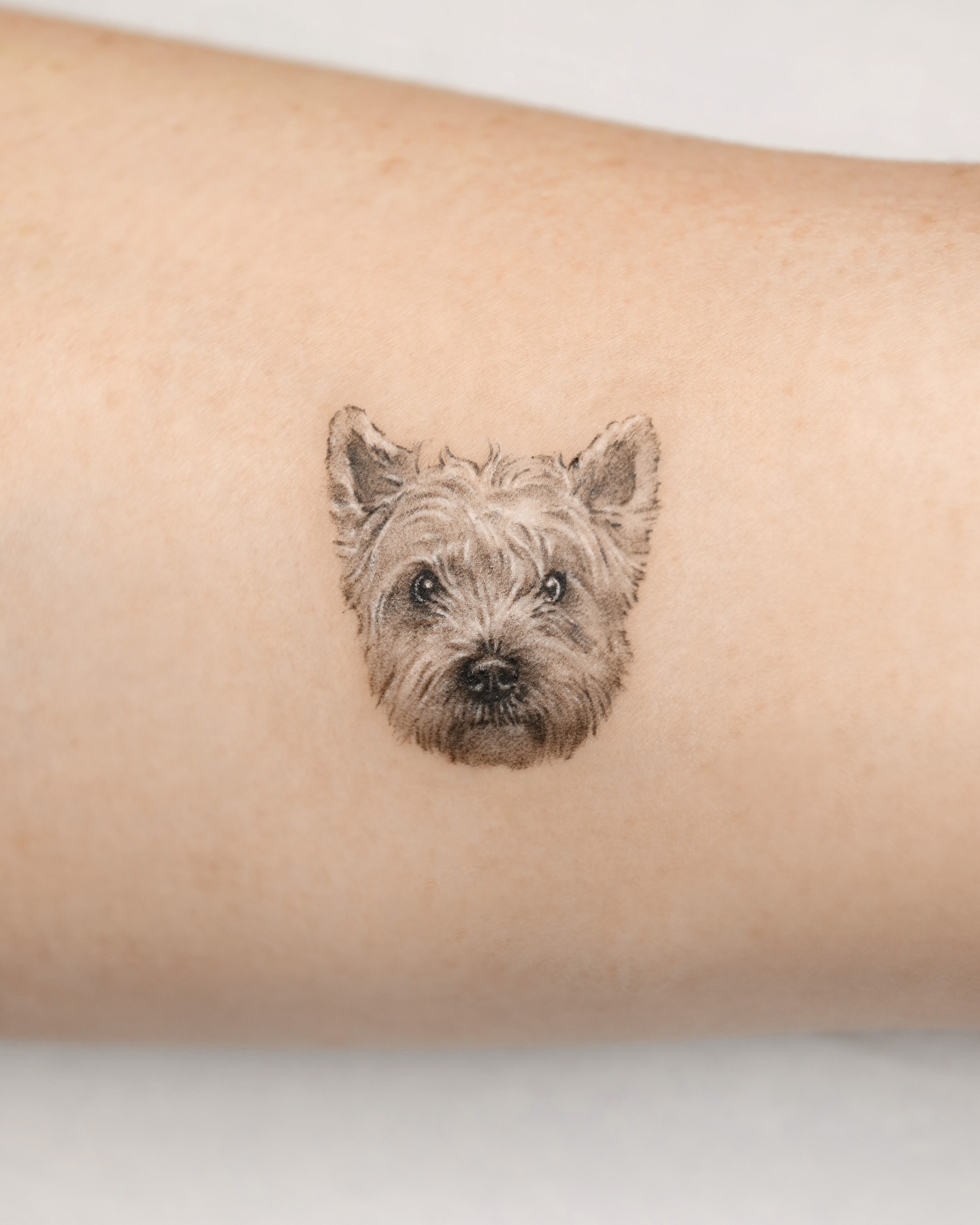 tattooist_yun