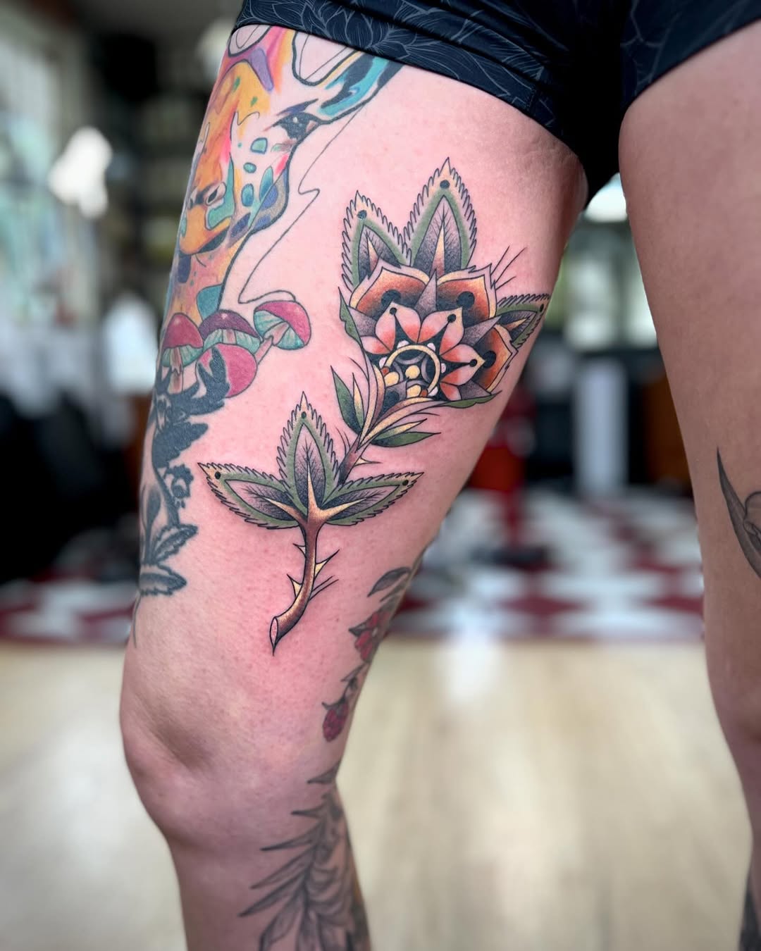 Flower, Rose