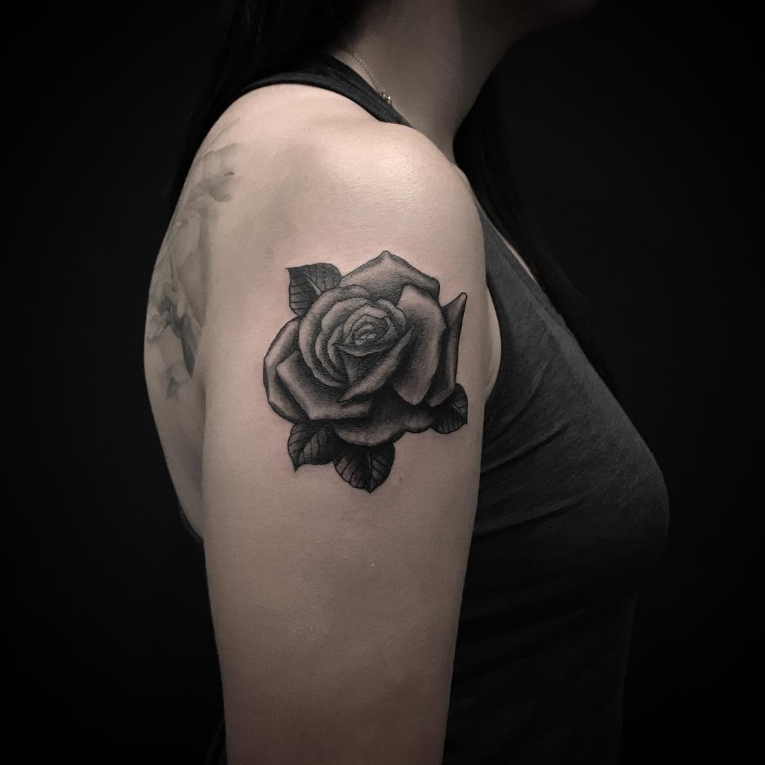 Flower, Rose, Nature