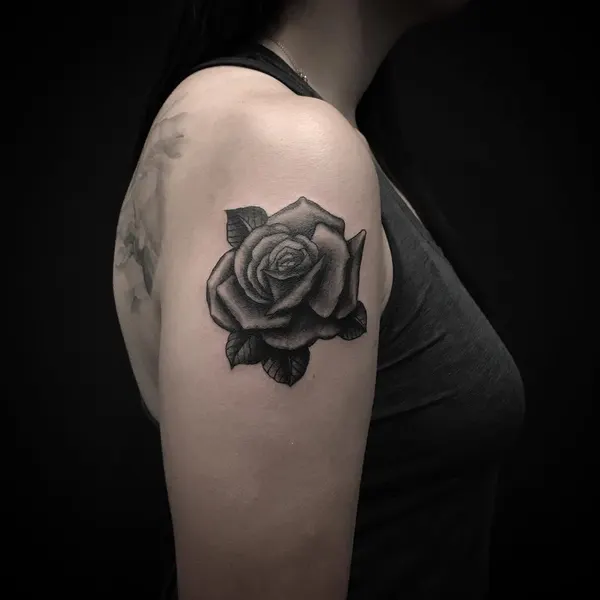 Flower, Rose, Nature
