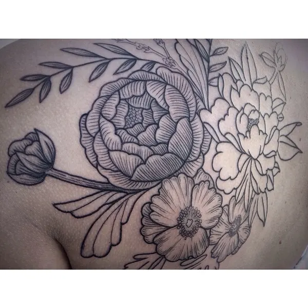 Flower, Rose, Nature