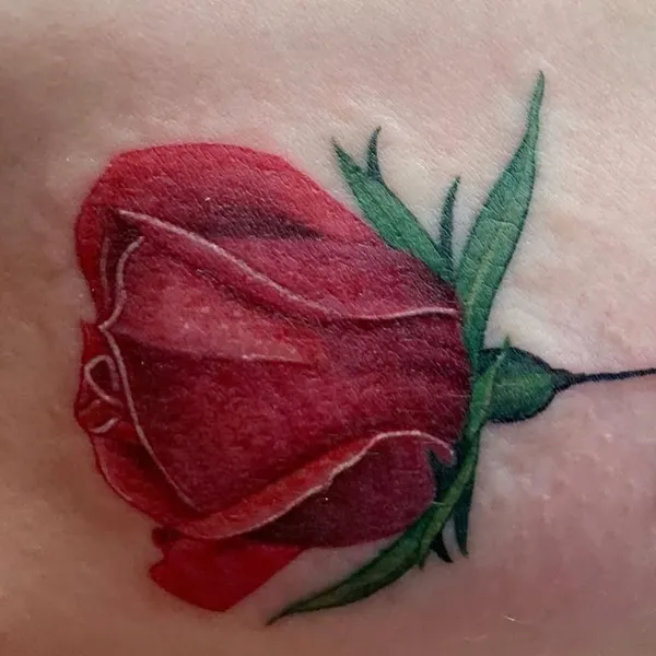 Flower, Rose