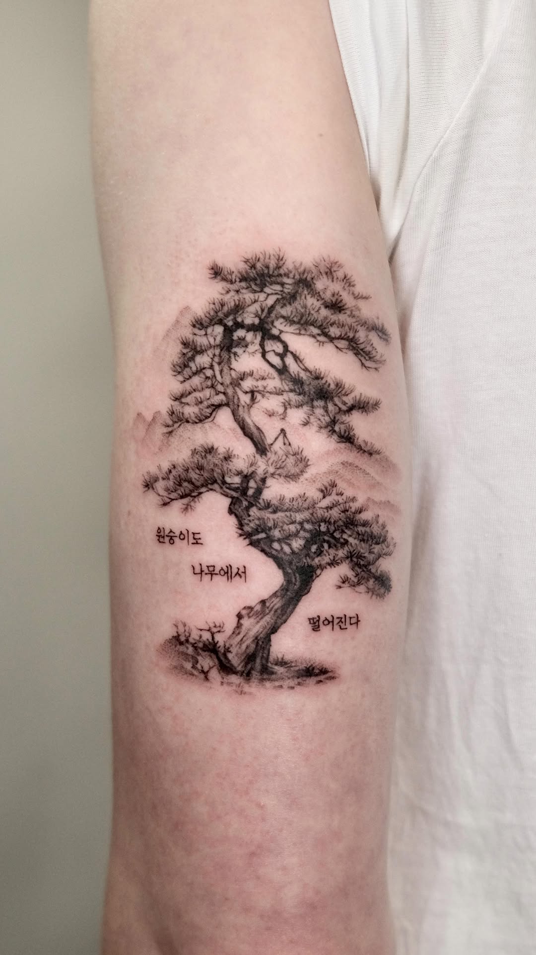 40.tatt