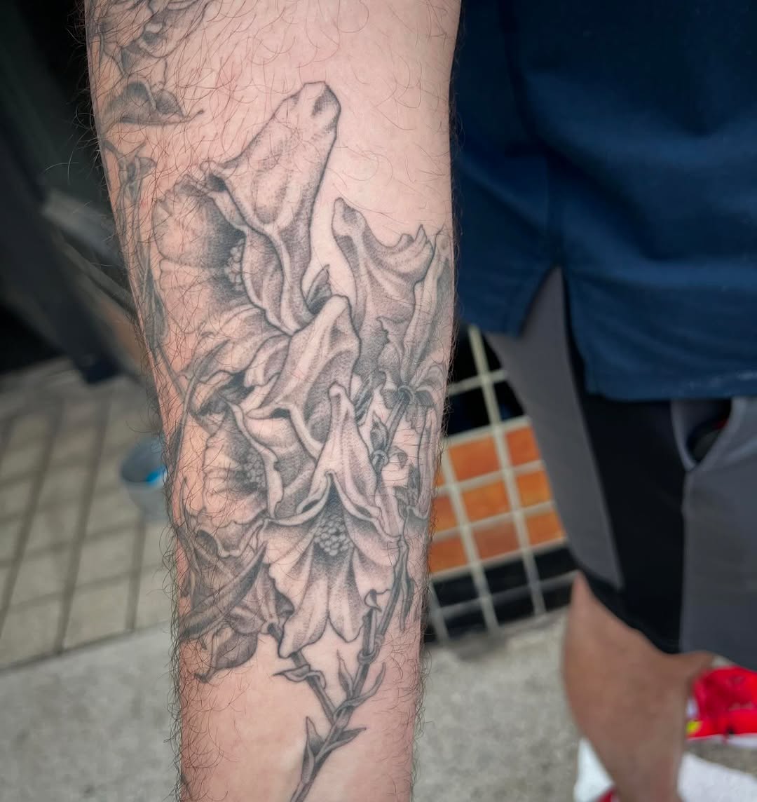 Flower, Rose