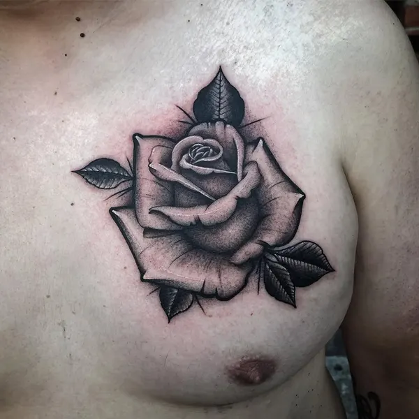 Flower, Rose, Nature