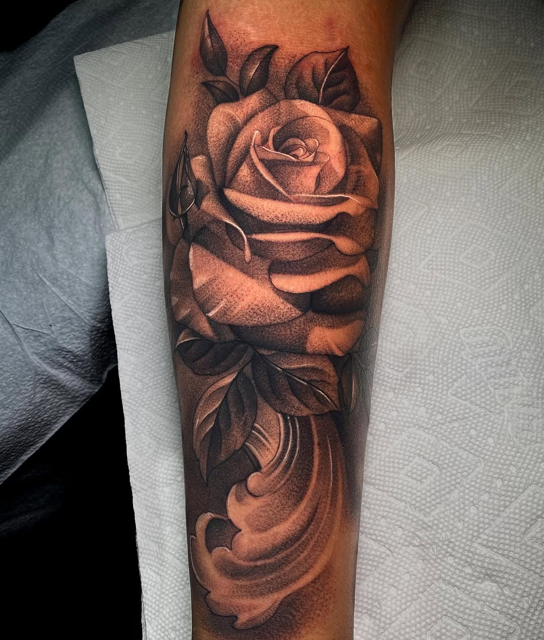 Flower, Rose