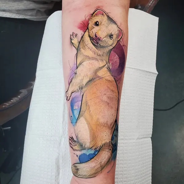 Animal, 문어