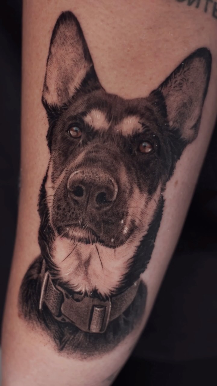 Animal