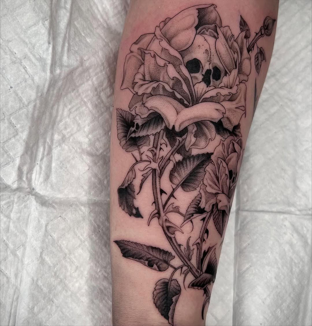 Flower, Rose