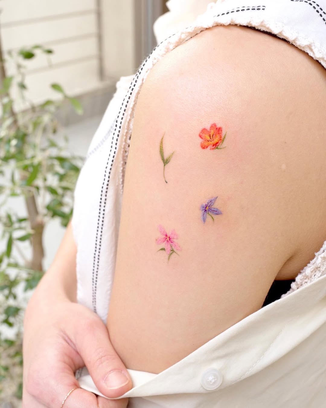 Rose, Flower
