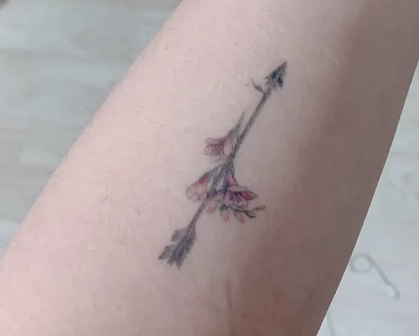 Nature, 숲, 나무, 소나무, 올리브 가지