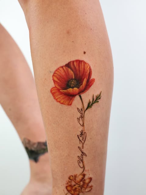 Flower, Rose, 양귀비