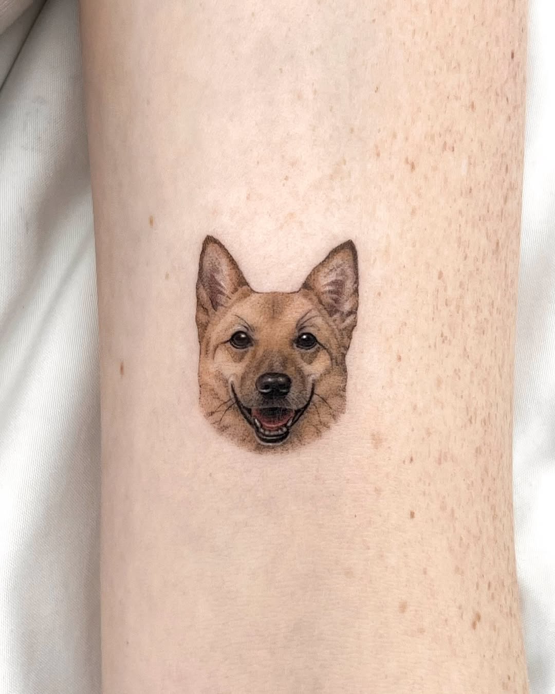 Animal