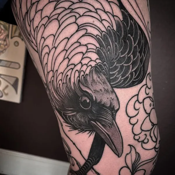 Animal