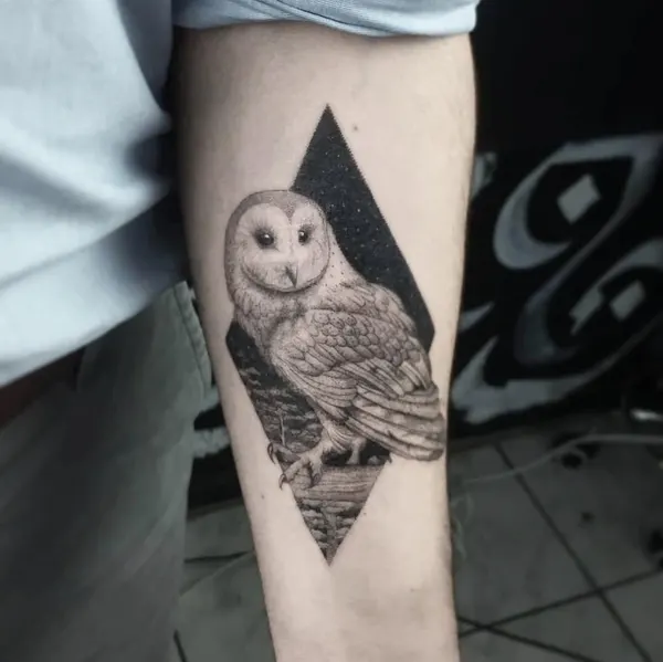 equilattera