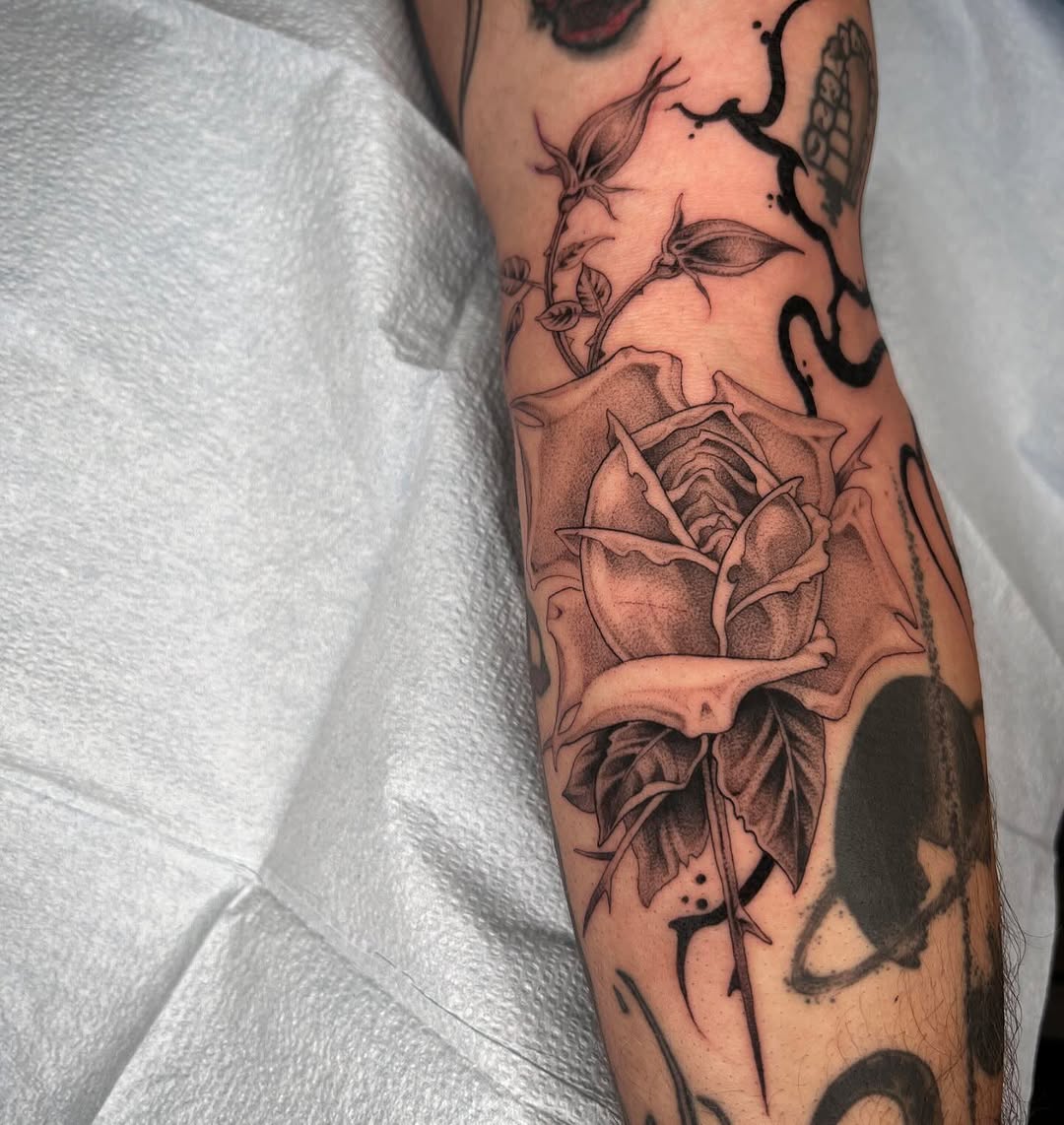 Flower, Rose
