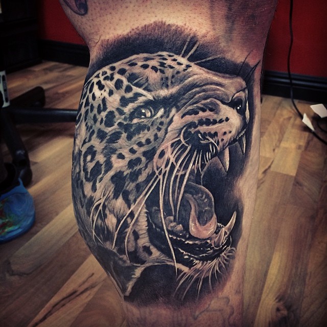 Animal