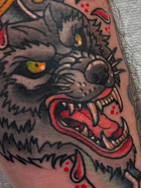 Tiger, Animal