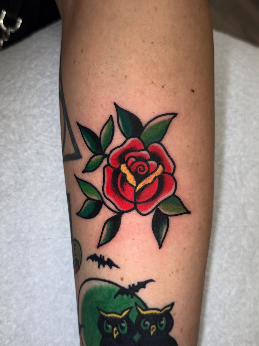 Flower, Rose