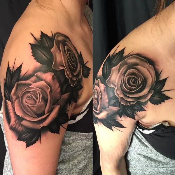 Flower, Rose, Nature