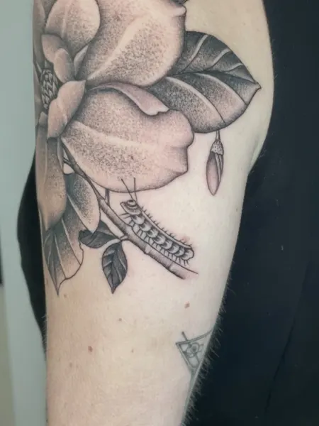 Flower, Rose, Nature