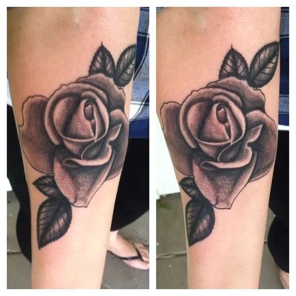 Flower, Rose