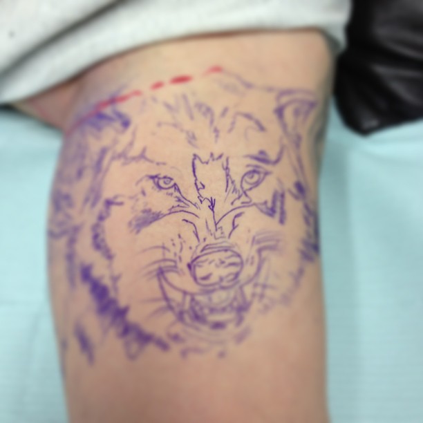 Animal, Tiger