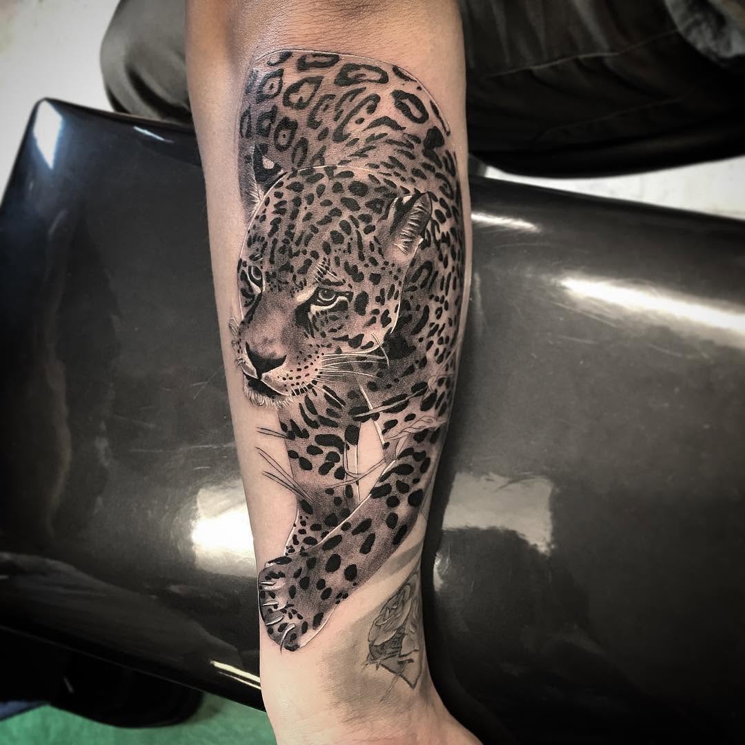 Animal
