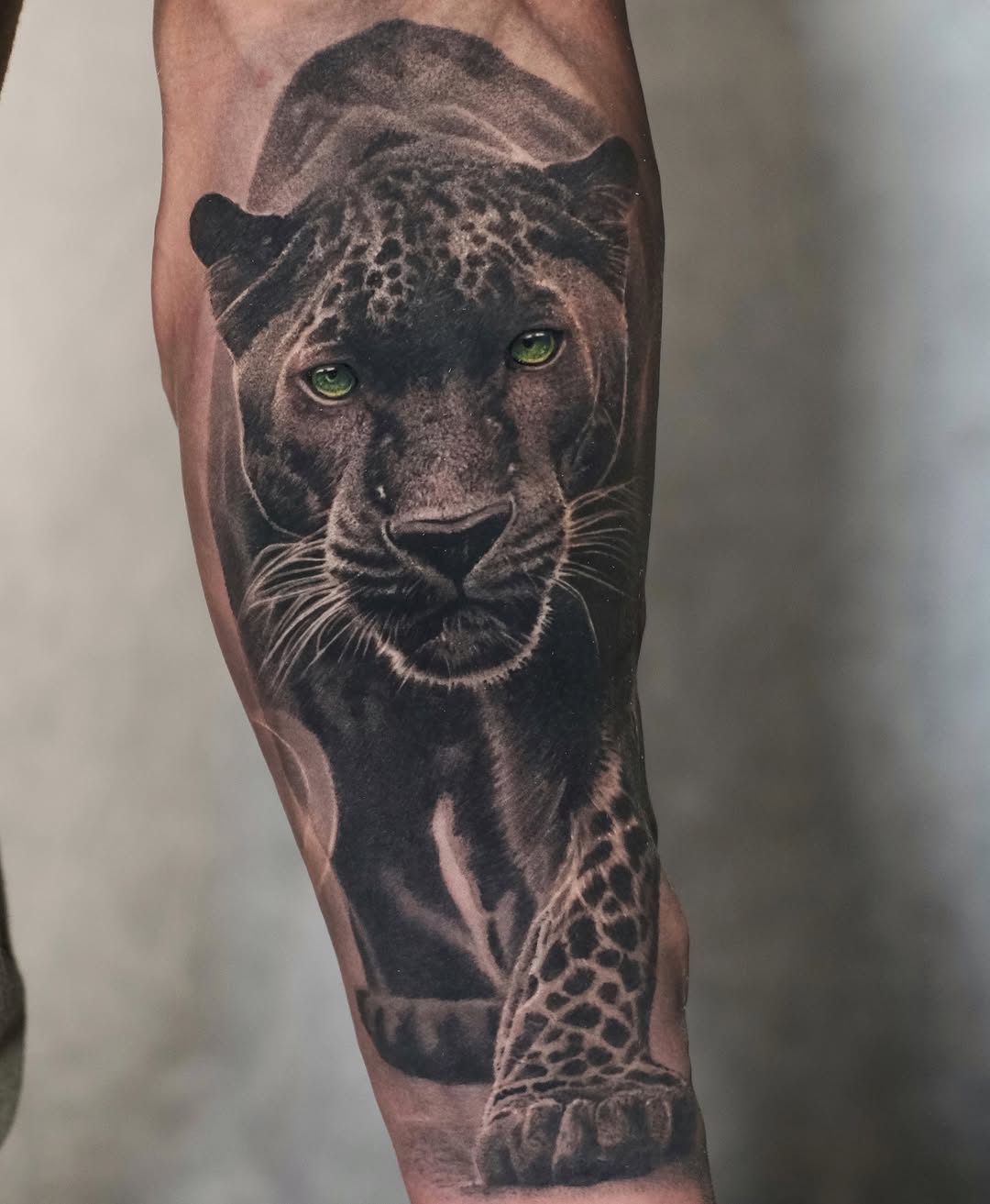 Animal