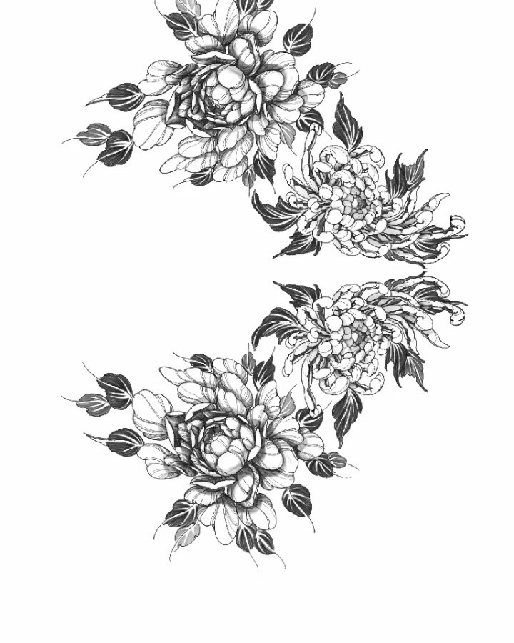 Flower, Nature, Rose