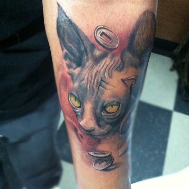 Animal