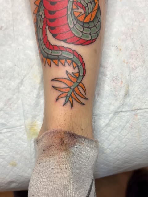 Dragon