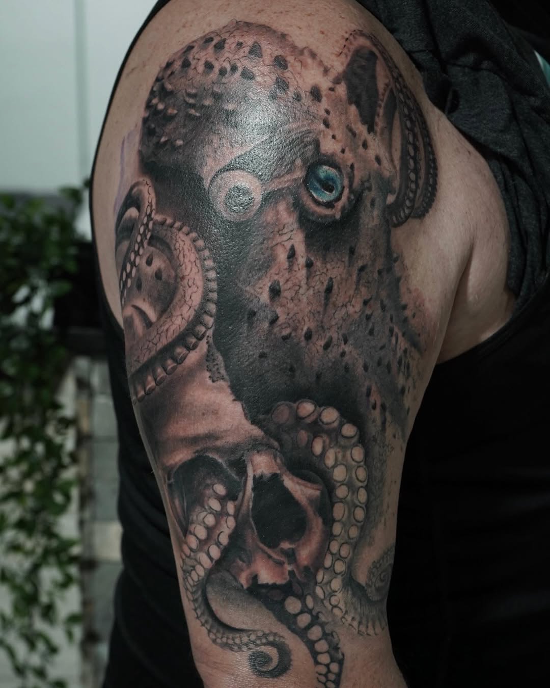 Animal