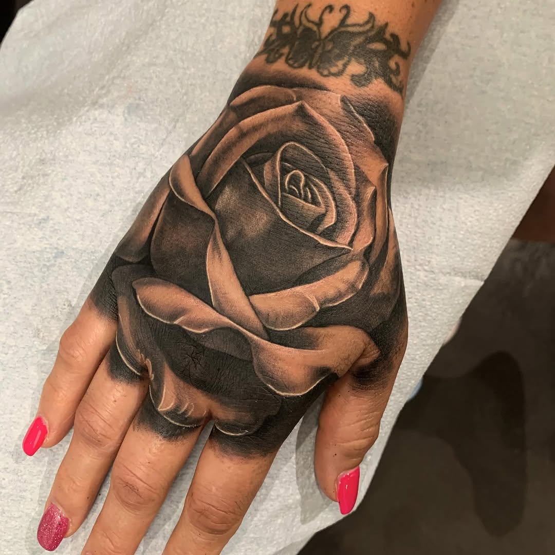 Flower, Rose