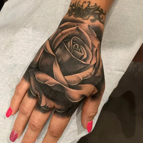 Flower, Rose
