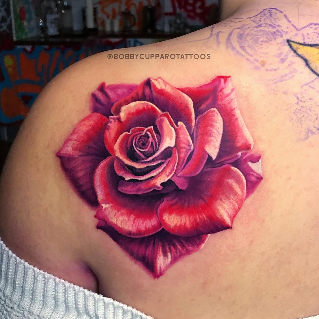 Flower, Rose, Nature