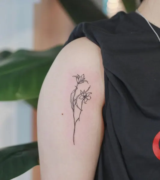 Flower, Rose