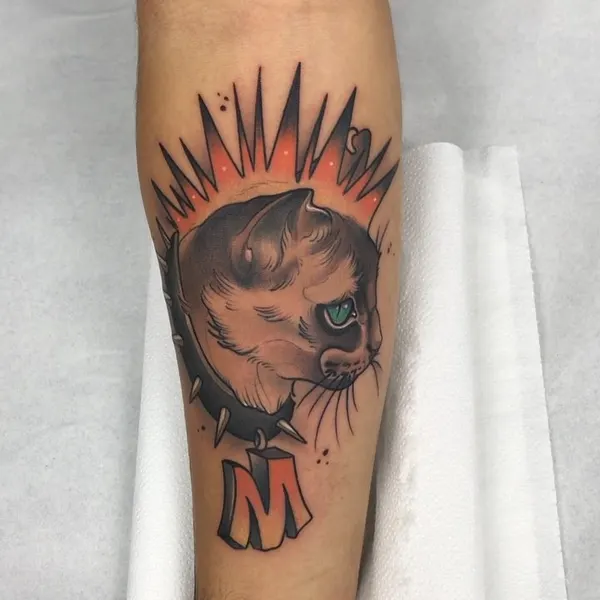 Animal