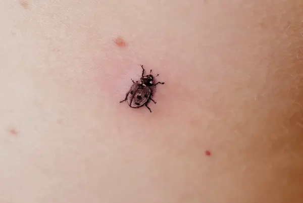 evantattoo